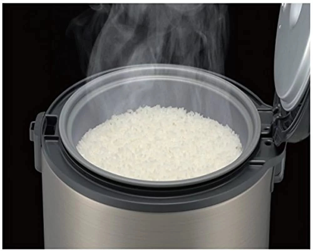 5.5-Cup Stainless Steel Gray Rice Cooker and Warmer D4719