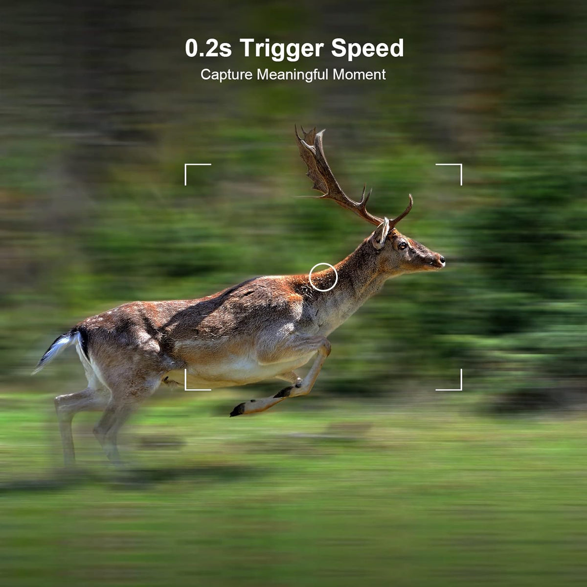 20MP 1080P Game Camera 120° Wide-Angle Motion Sensor IP66 Waterproof Hunting Cam Pack of 2 C679