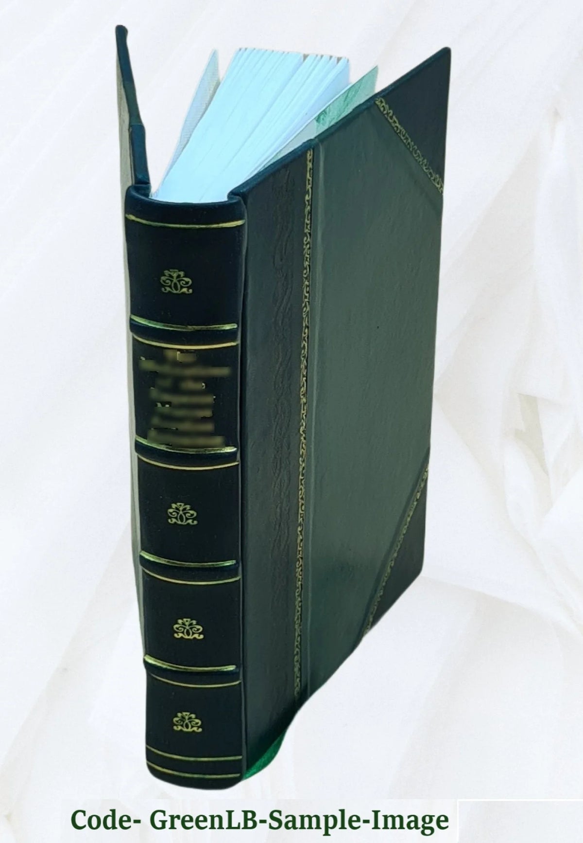 Leather Bound E107
