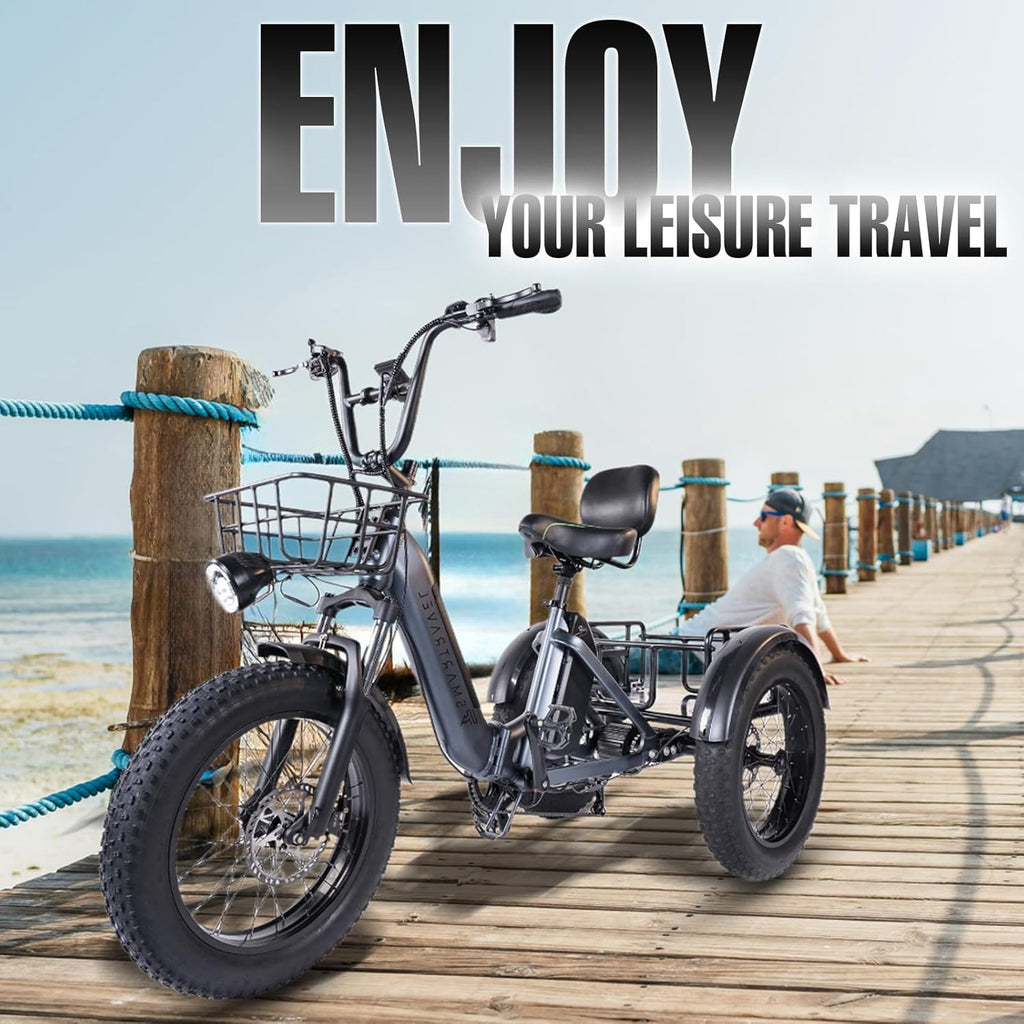Electric Trike 750W Motor 20" Fat Tire 3 Wheel Electric Bike Dual Removable Batteries V691498