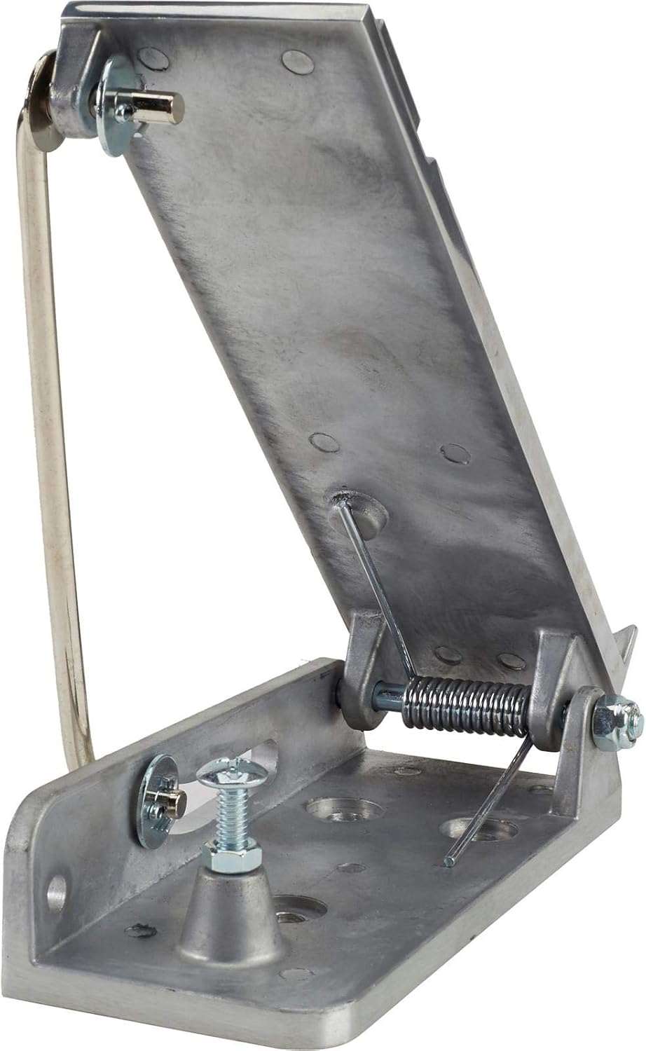 Cast Aluminum Accelerator Throttle Pedal Assembly Pack of 2 S391