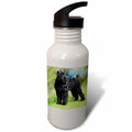 Black Russian Terrier Sports Water Bottle, 21oz I3344