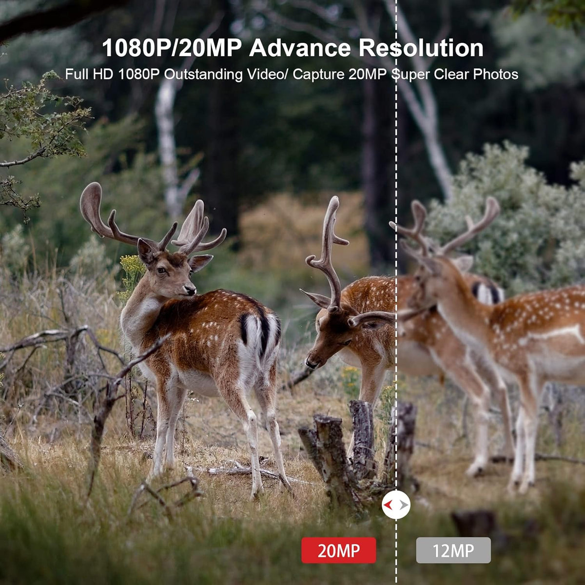 20MP 1080P Game Camera 120° Wide-Angle Motion Sensor IP66 Waterproof Hunting Cam Pack of 2 C679