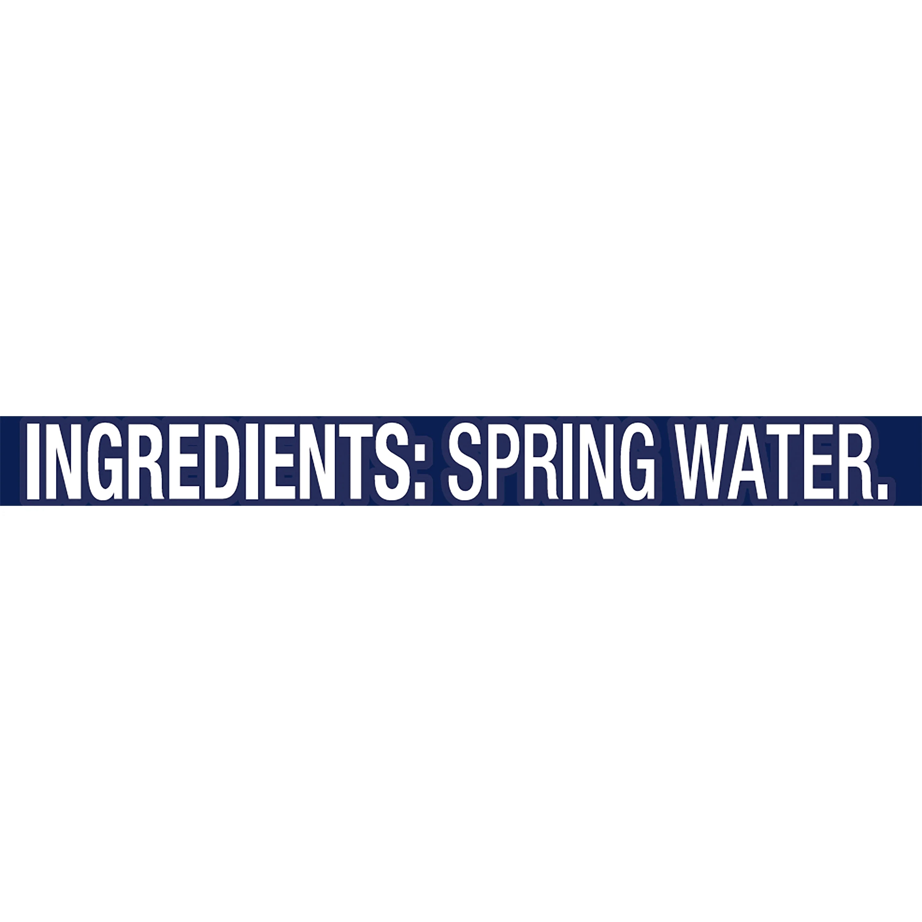 23.7-ounce Natural Spring Water M809