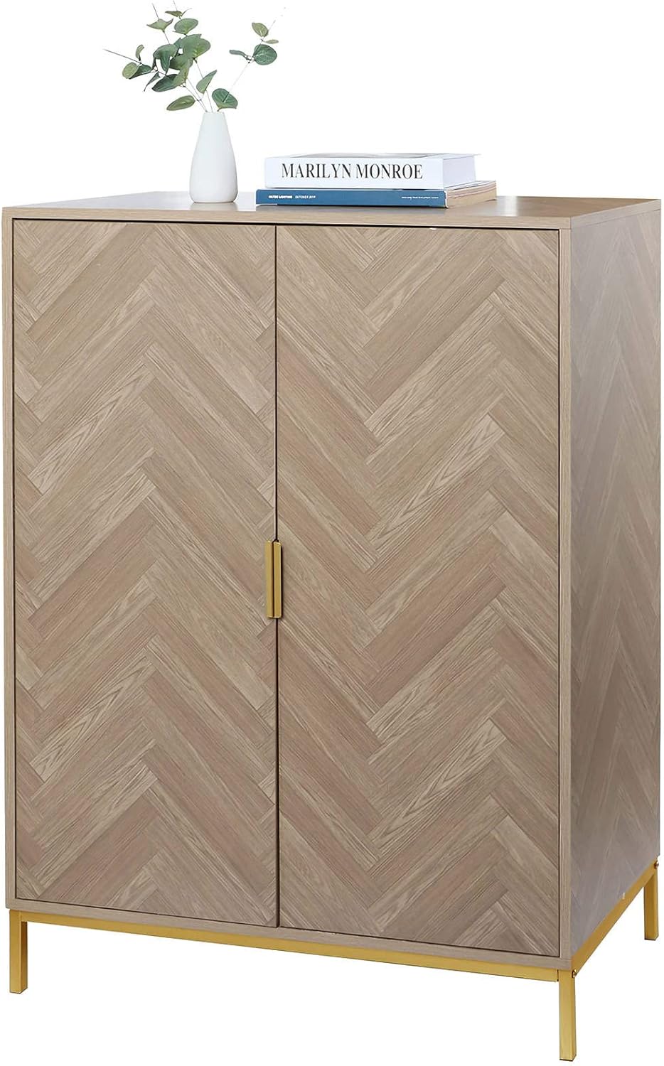 2 Door Storage Cabinet with Golden Legs Black N772664