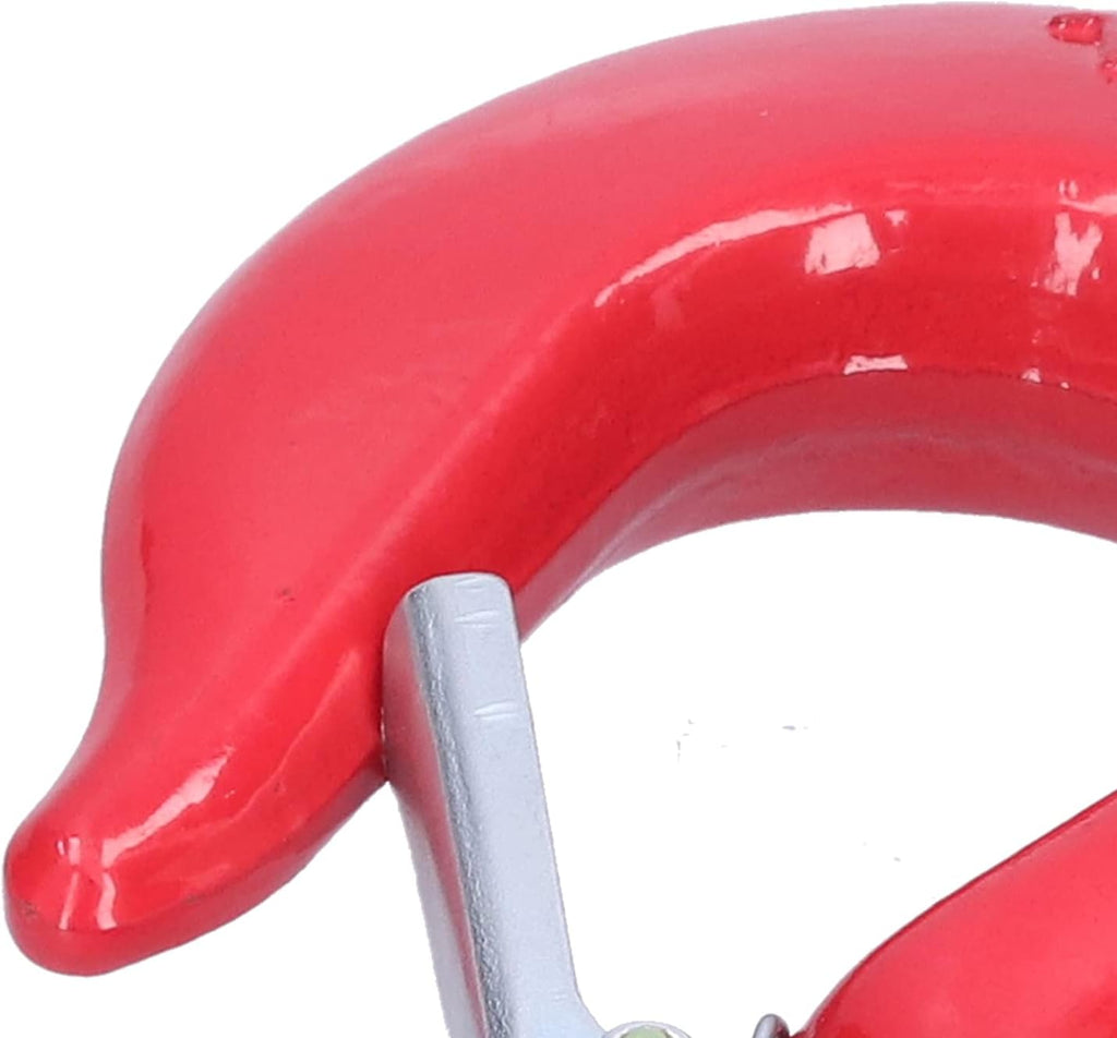 Alloy Steel Swivel Eye Hook with Latch D765