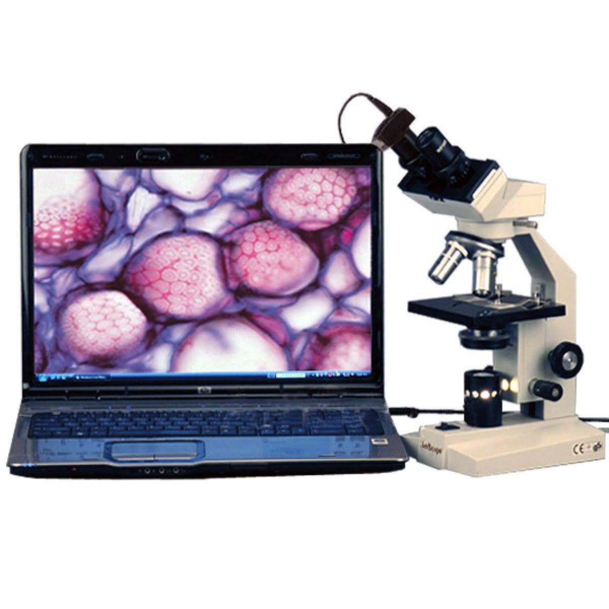 40X-1600X Binocular Compound Microscope with 1.3MP Camera T83532