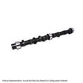 Hydraulic Flat Tappet Camshaft V791181