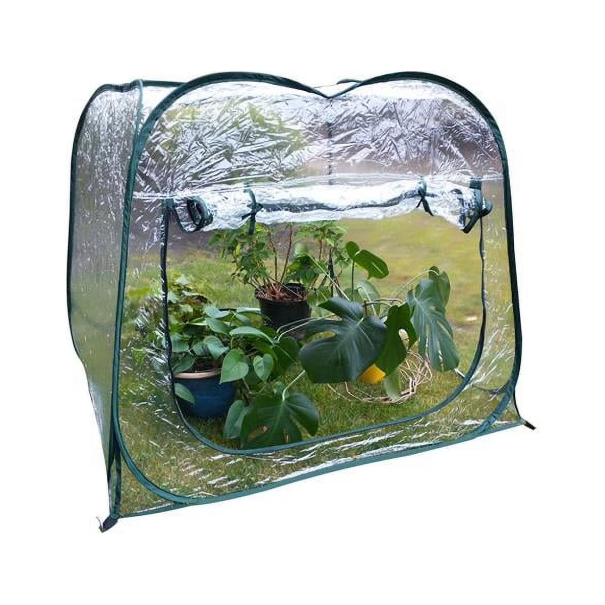 Pop-Up Greenhouse Q4569