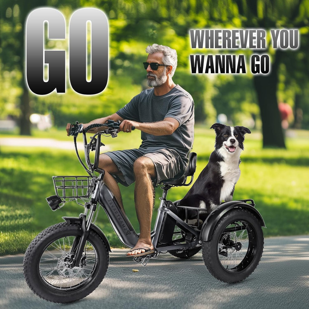 Electric Trike 750W Motor 20" Fat Tire 3 Wheel Electric Bike Dual Removable Batteries V691498