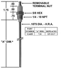 Flame Rod Replacement C47812