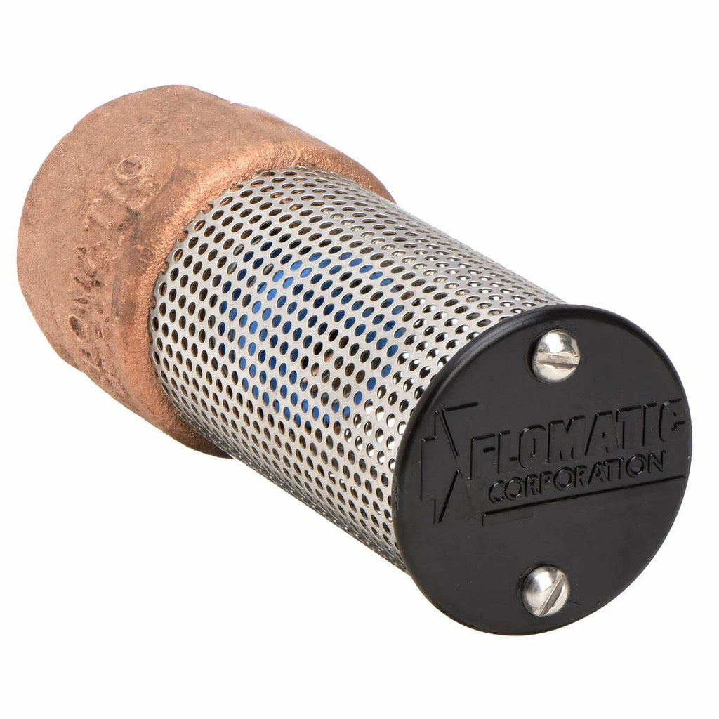 Lead Free Bronze Spring Foot Valve, 2 in. M8521