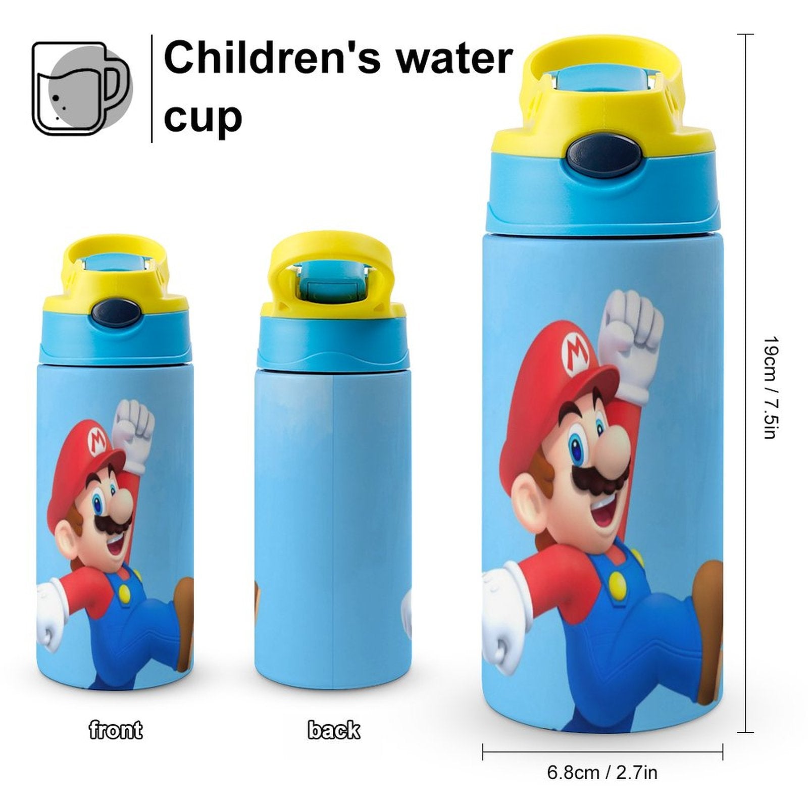 Insulated Stainless Steel Water Bottle with Straw H494