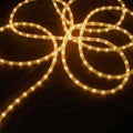 100 ft White Wire Christmas Rope Lights R695117