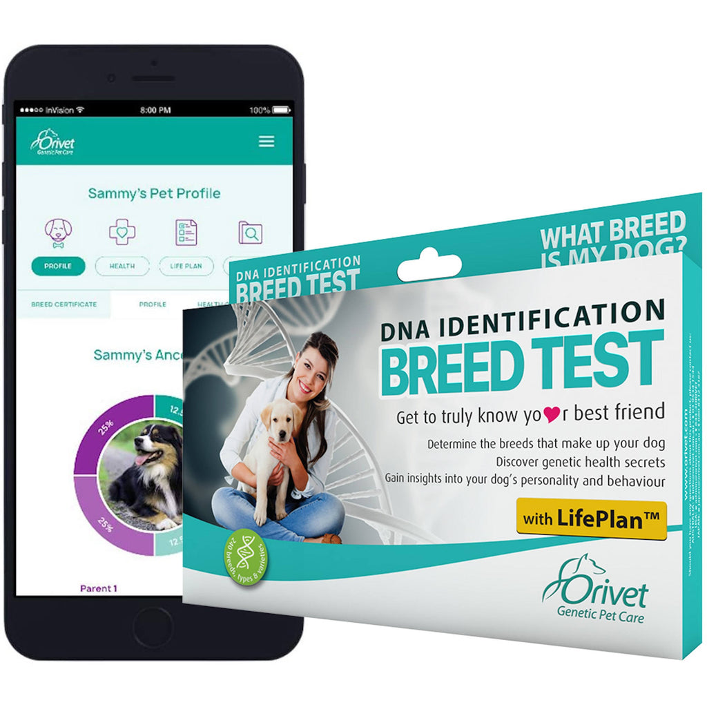 Dog Breed Identification DNA Test Q57318