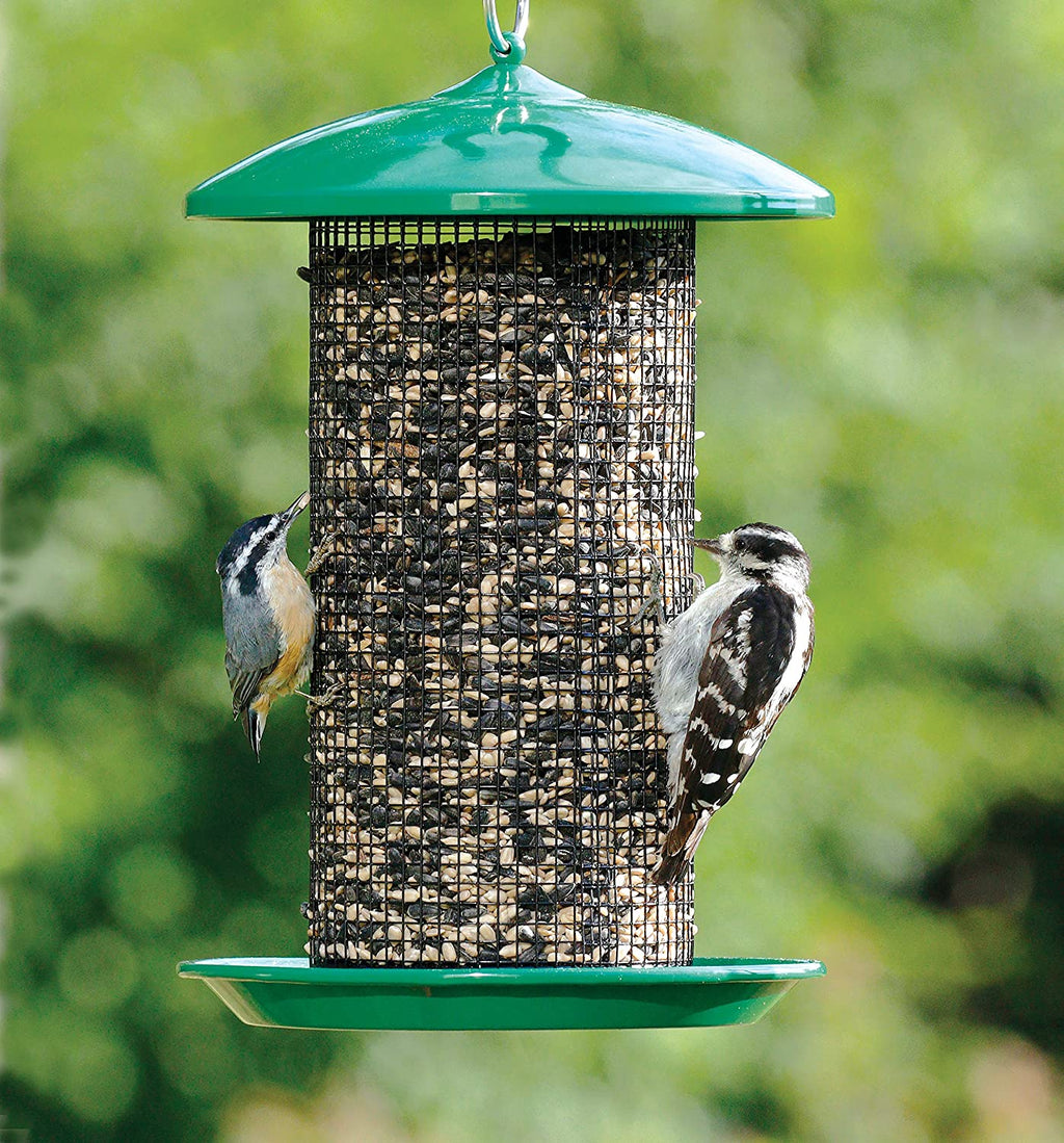 Wild Bird 4.4 lb. Metal/Plastic Screen Bird Feeder I9132