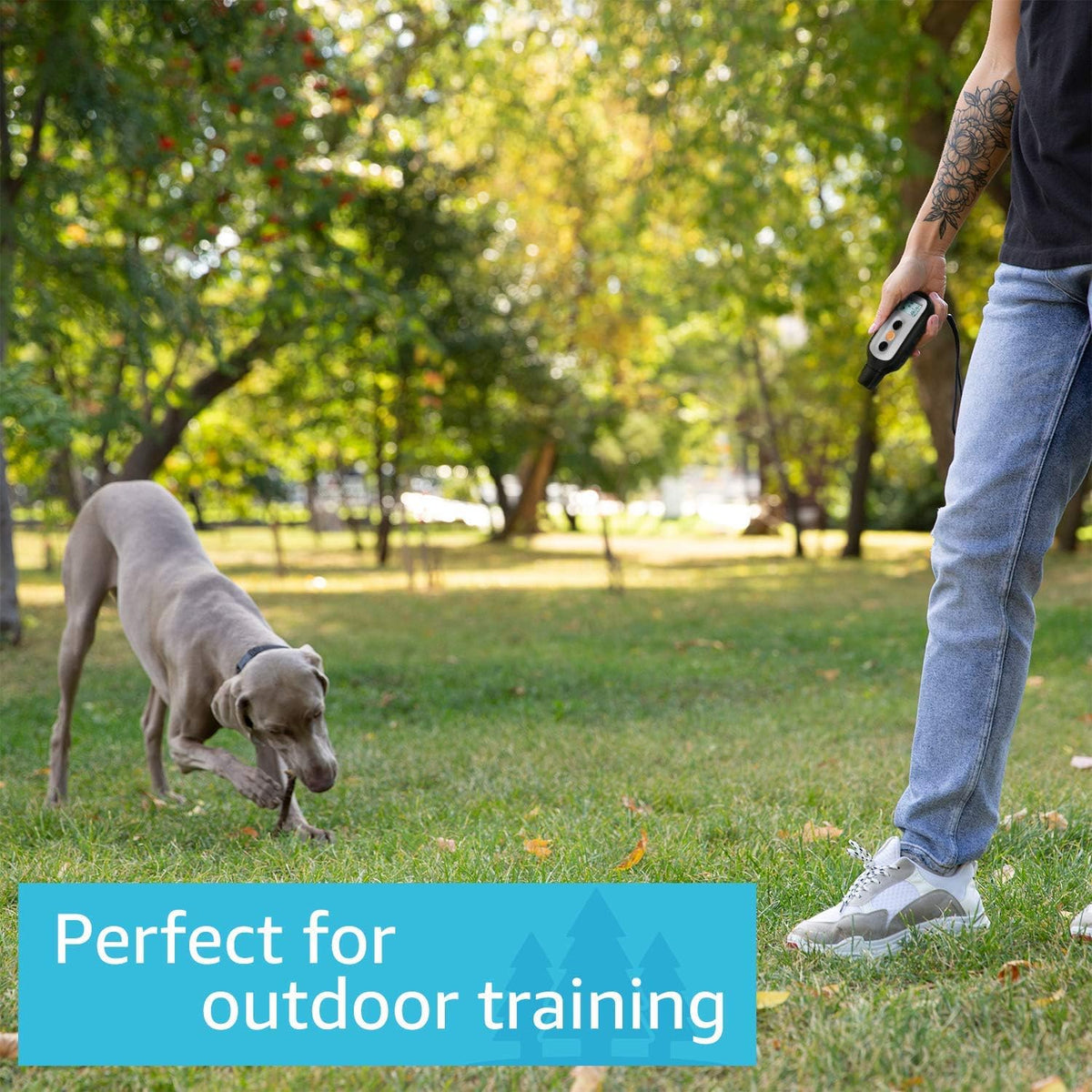 Waterproof Dog Training Shock Collar with Remote U2669