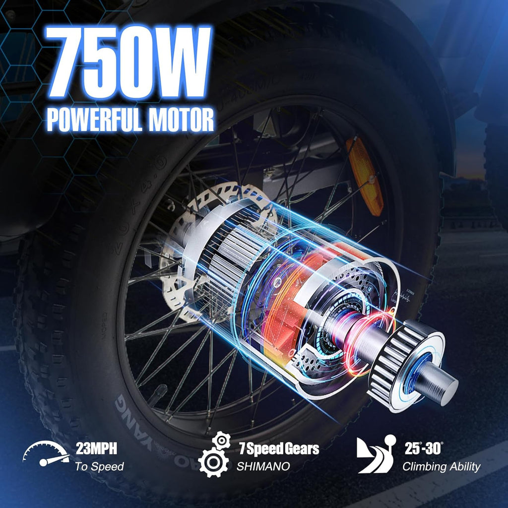 Electric Trike 750W Motor 20" Fat Tire 3 Wheel Electric Bike Dual Removable Batteries V691498