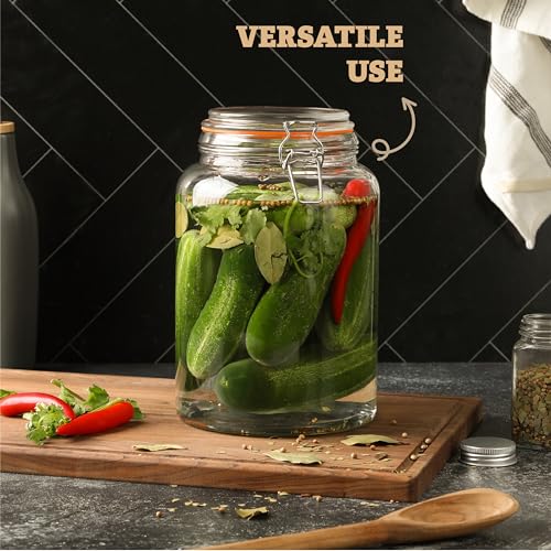 Large 1 Gallon Glass Mason Jar with Hinged Lids, Pack of 2 U2001