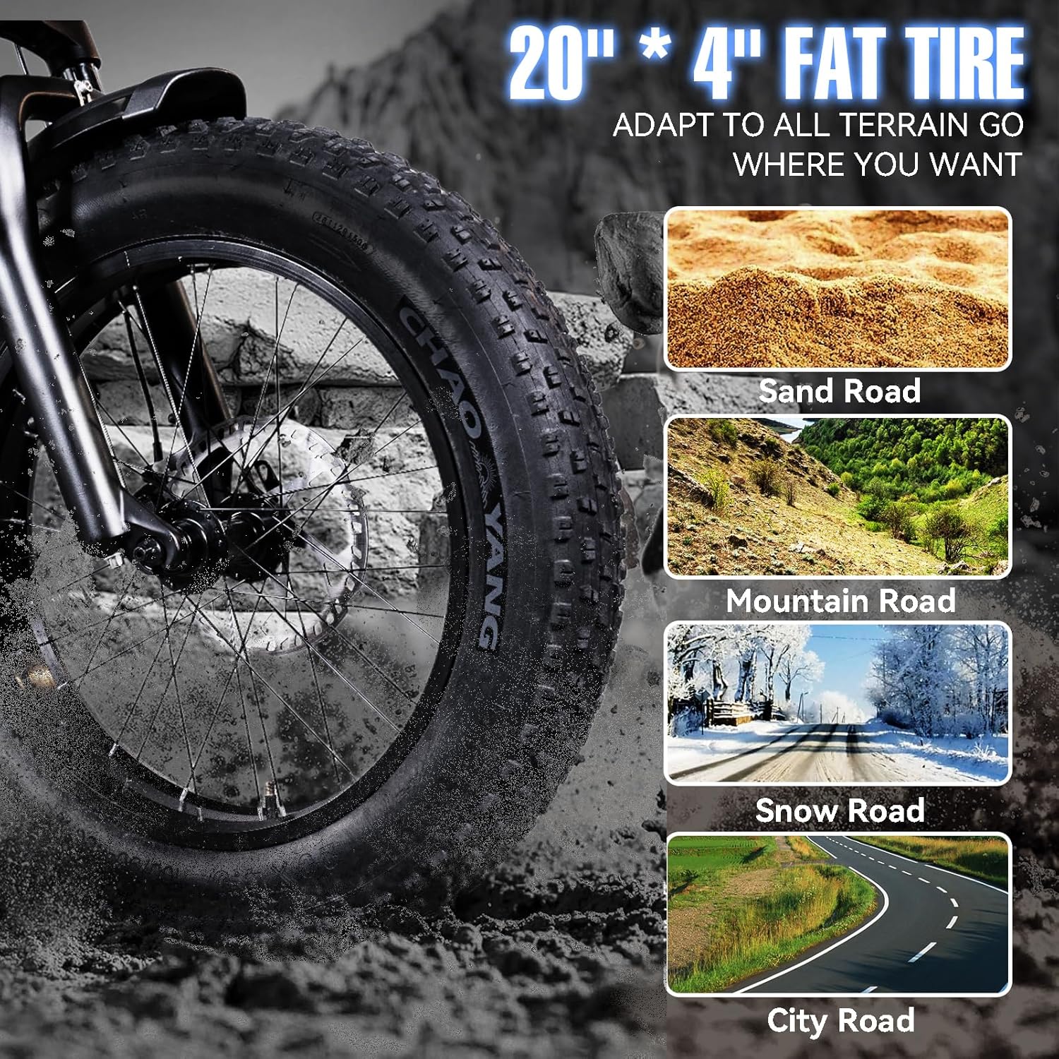 Electric Trike 750W Motor 20" Fat Tire 3 Wheel Electric Bike Dual Removable Batteries V691498