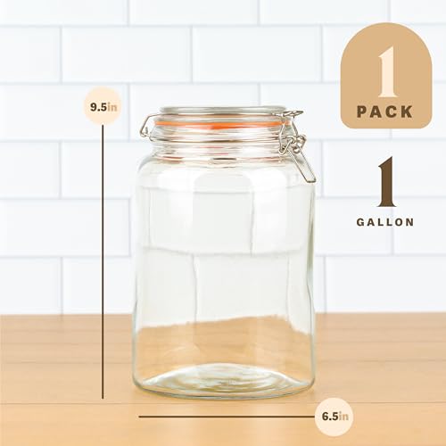 Large 1 Gallon Glass Mason Jar with Hinged Lids, Pack of 2 U2001