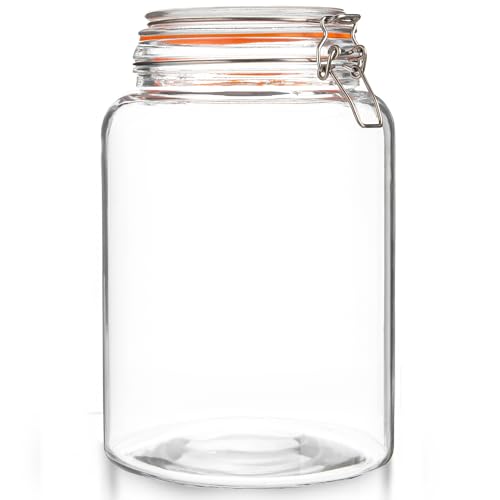 Large 1 Gallon Glass Mason Jar with Hinged Lids, Pack of 2 U2001