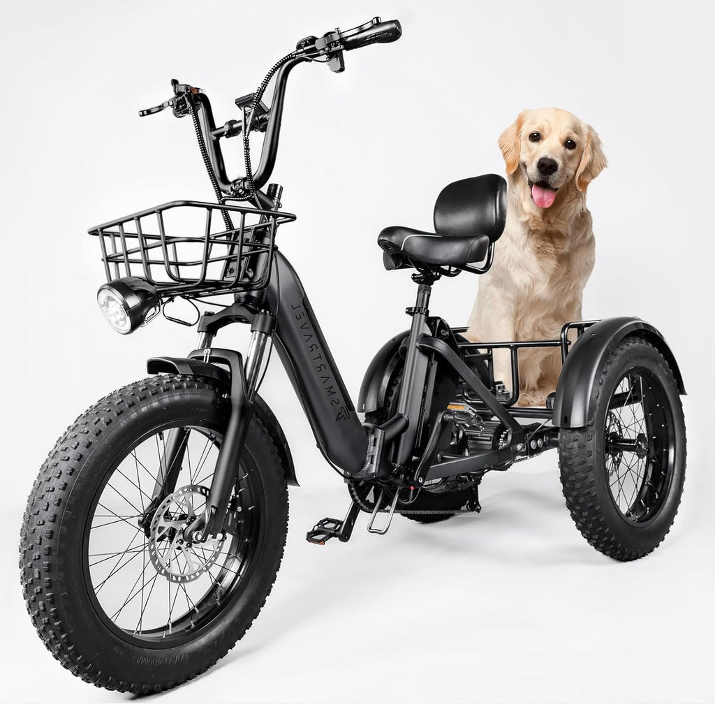 Electric Trike 750W Motor 20" Fat Tire 3 Wheel Electric Bike Dual Removable Batteries V691498