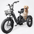 Electric Trike 750W Motor 20" Fat Tire 3 Wheel Electric Bike Dual Removable Batteries V691498
