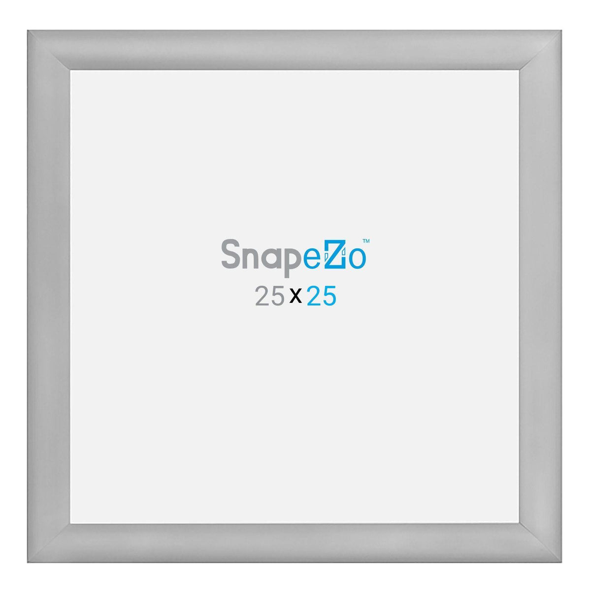 25x25 Silver Snap Frame P8280