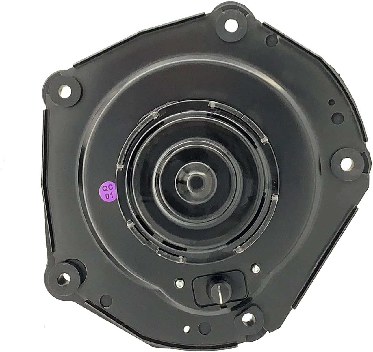 AC Heater Blower Motor with Fan, Pack of 2 T49276
