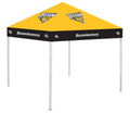 Towson State University Y2342