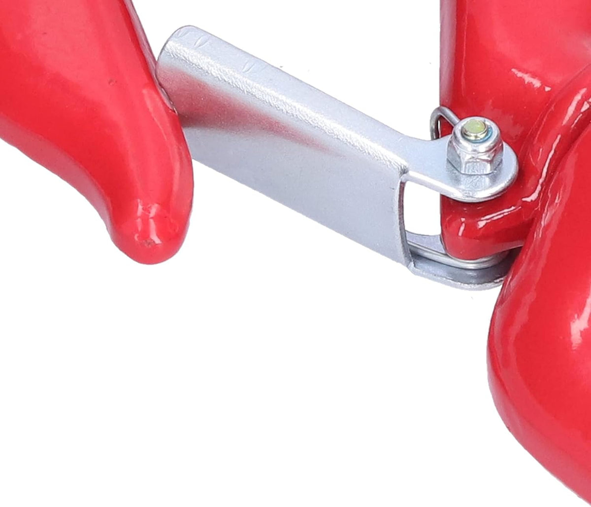 Alloy Steel Swivel Eye Hook with Latch D765
