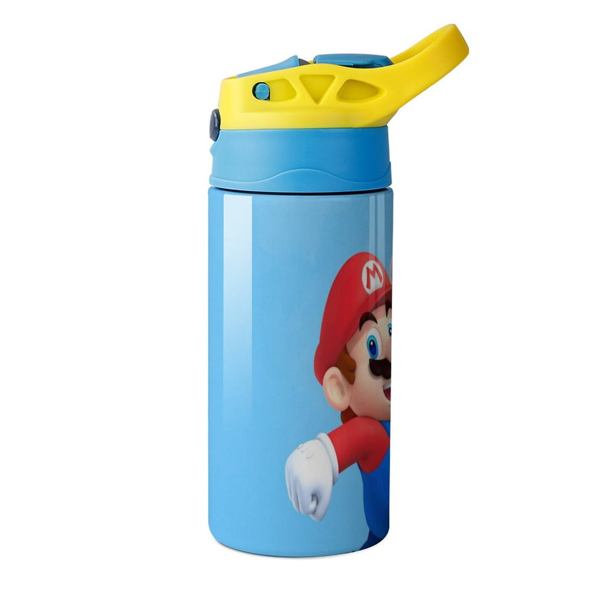 Insulated Stainless Steel Water Bottle with Straw H494