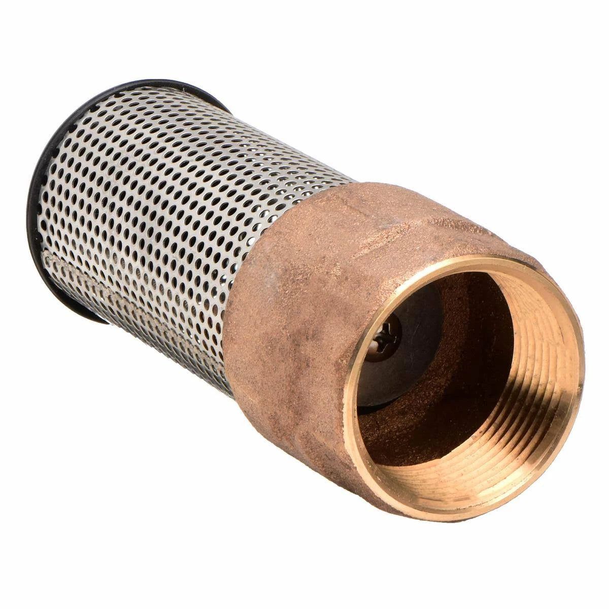 Lead Free Bronze Spring Foot Valve, 2 in. M8521