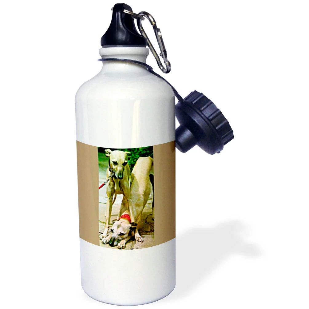 Sports Water Bottle 21oz H13402