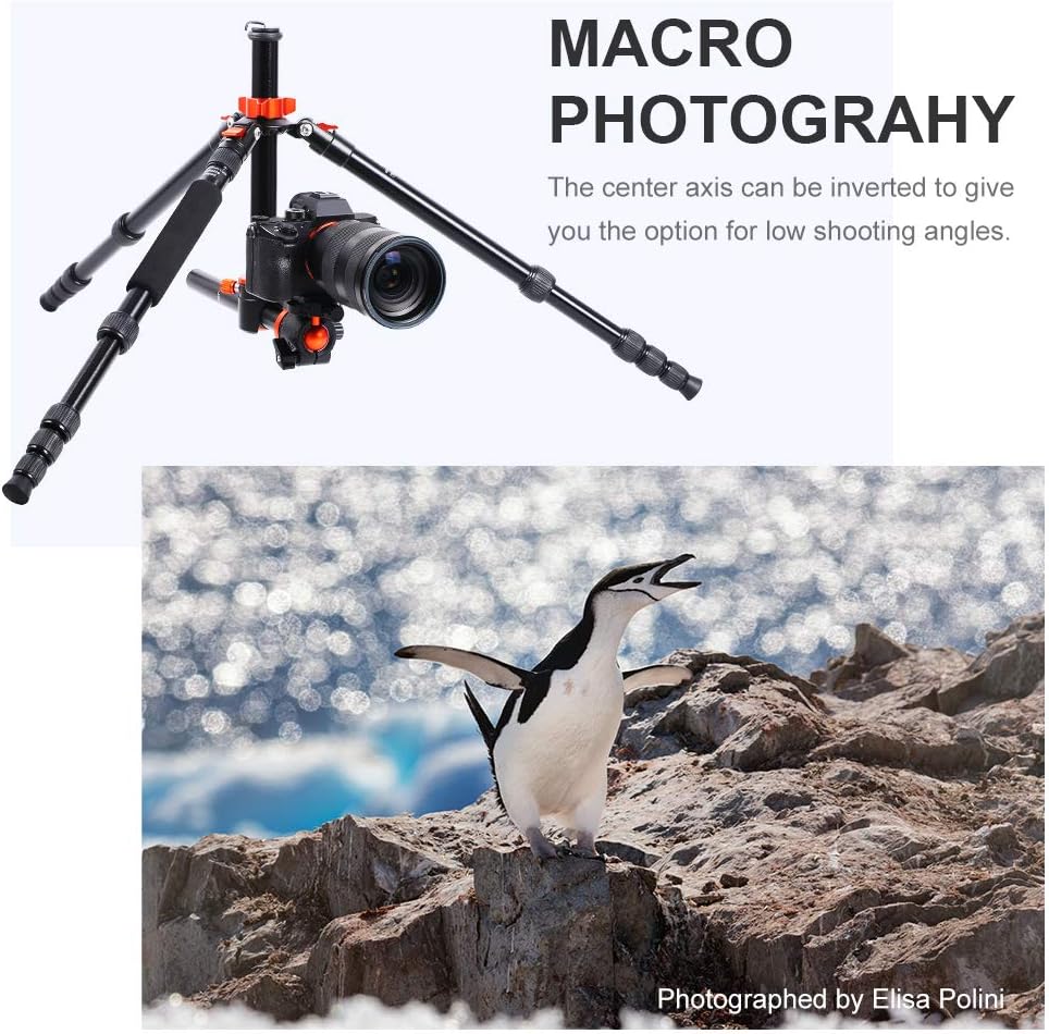 67 inch Aluminum Camera Tripod with 360 Degree Ball Head M97239