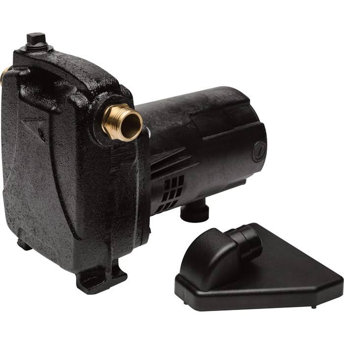 Cast Iron Portable Water Pump P473899