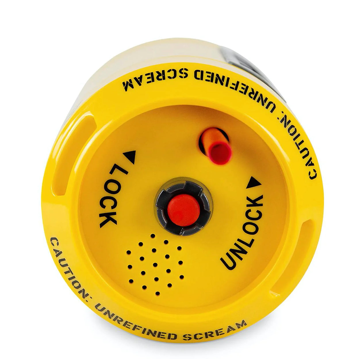 Scream Canister Water Bottle N88434