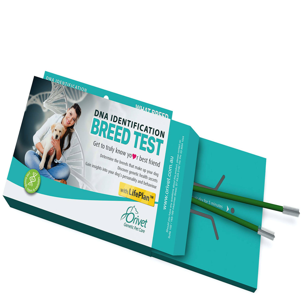 Dog Breed Identification DNA Test Q57318